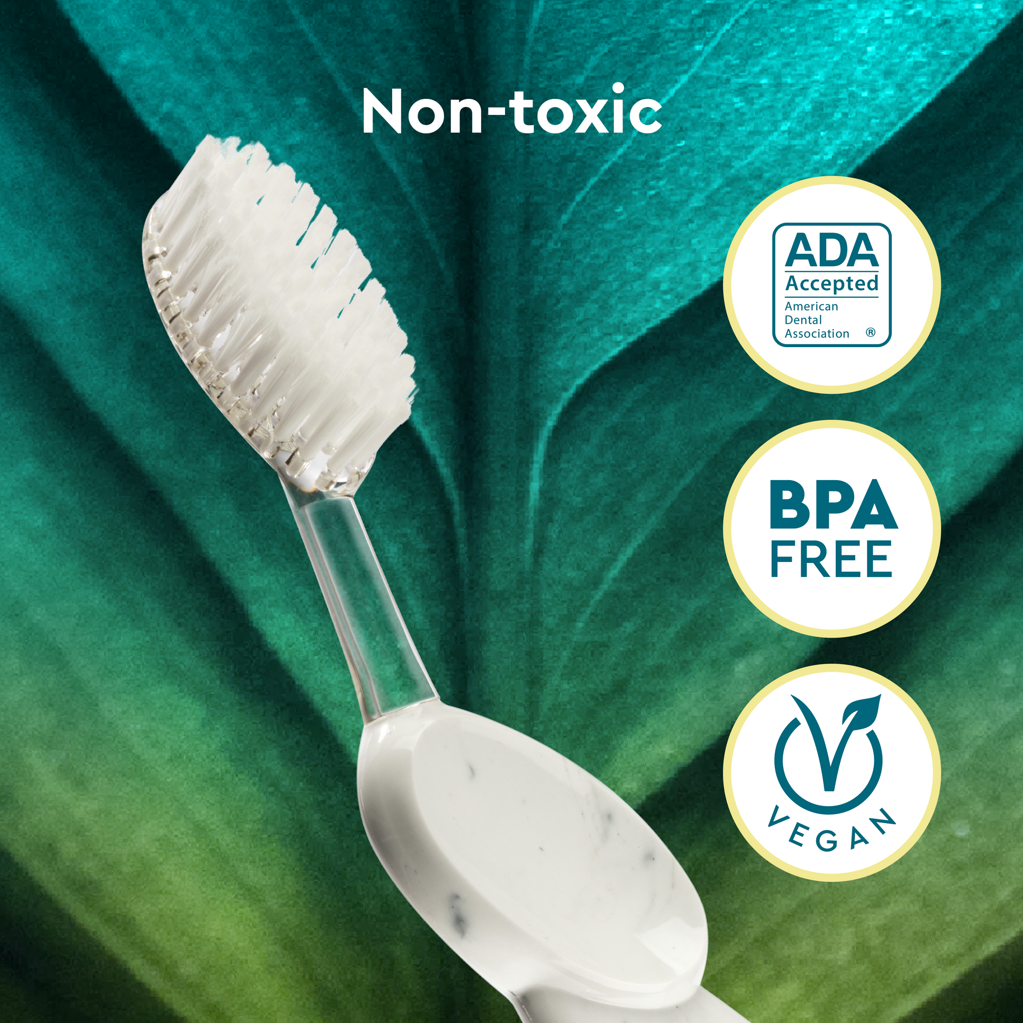 Big Toothbrush with Replaceable Head