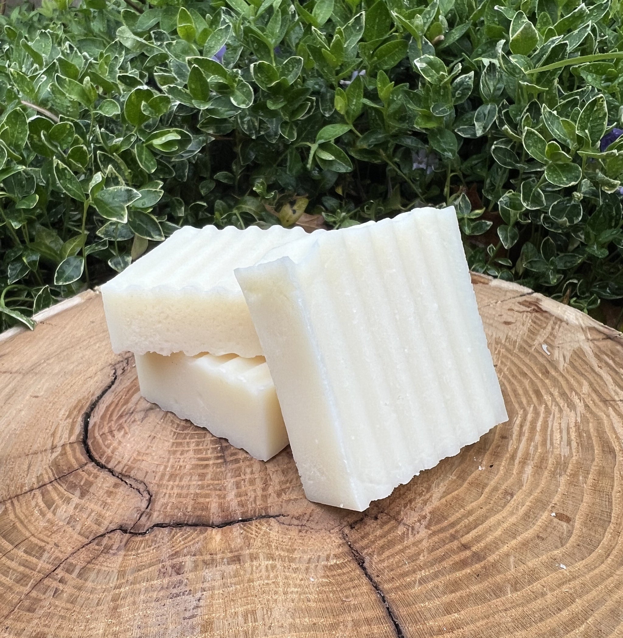 Three bars of textured, handmade soap rest on a rustic wooden surface against a leafy green backdrop.
