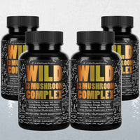 13 Mushroom Complex - Immunity and Longevity Support