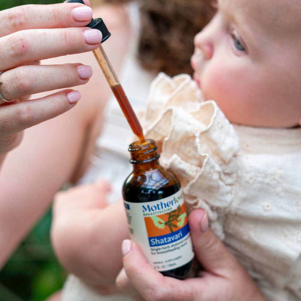 Shatavari - Tincture