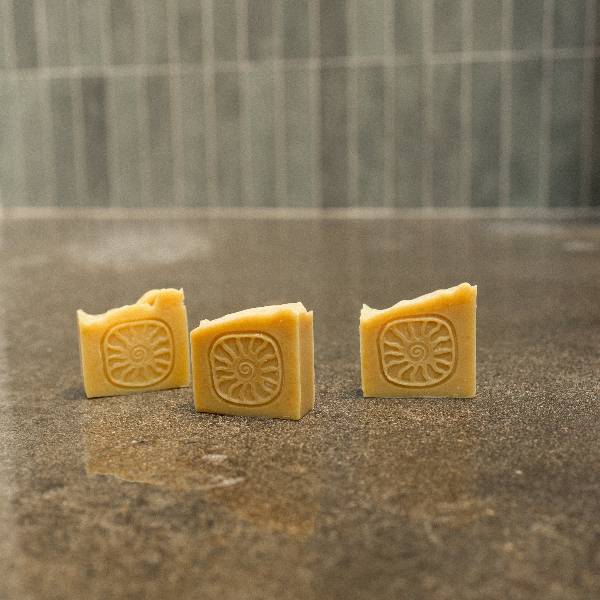Honeybee Tallow Soap Bar