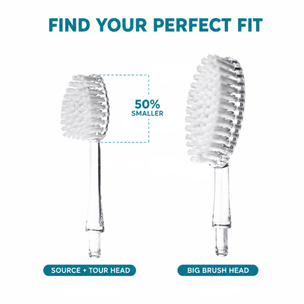Big Brush Replacement Heads (2 pack)