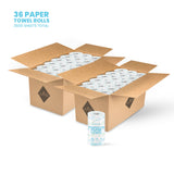 Premium Toilet Paper & Paper Towels