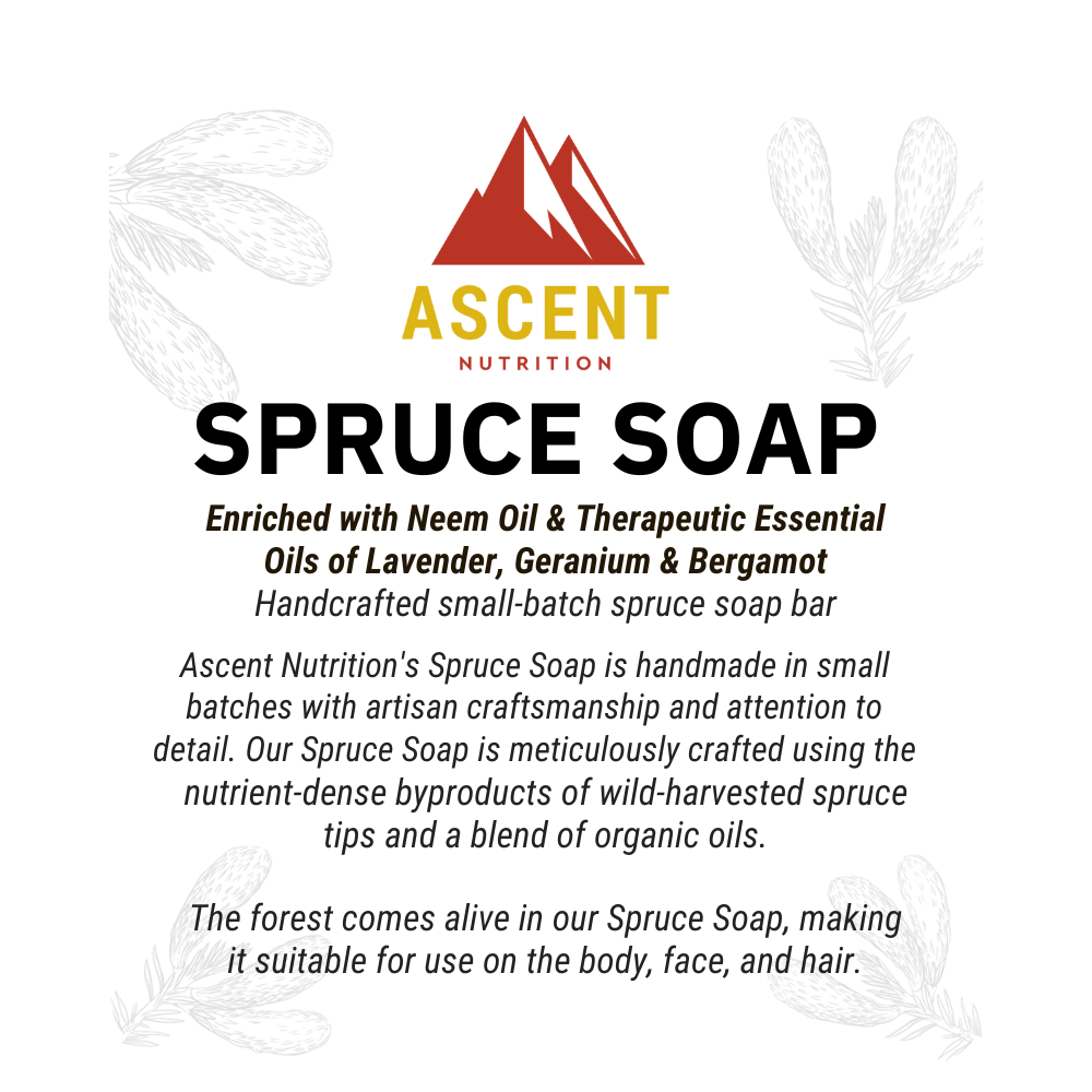 Ascent Nutrition advertises their handcrafted spruce soap enriched with essential oils, designed for body, face, and hair.
