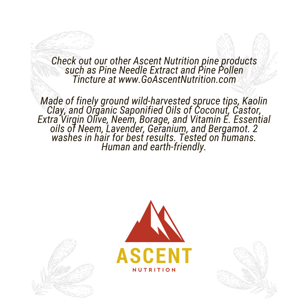 Ascent Nutrition promotes their pine-based products like pine needle extract and spruce tip hair wash with a mountain logo and earth-friendly ingredients.
