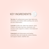 Discover the key skincare ingredients like tea tree, lavender, and calendula that fight acne, soothe irritation, and promote a clear complexion.
