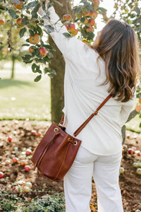 Woman harvests fresh ripe apples from a tree in an orchard, wearing a brown leather bucket bag.
