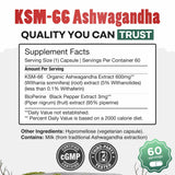 Daily Nutra KSM-66 Ashwagandha – Stress Relief & Relaxation