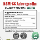 Daily Nutra KSM-66 Ashwagandha – Stress Relief & Relaxation