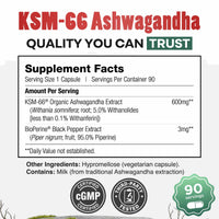 Daily Nutra KSM-66 Ashwagandha – Stress Relief & Relaxation