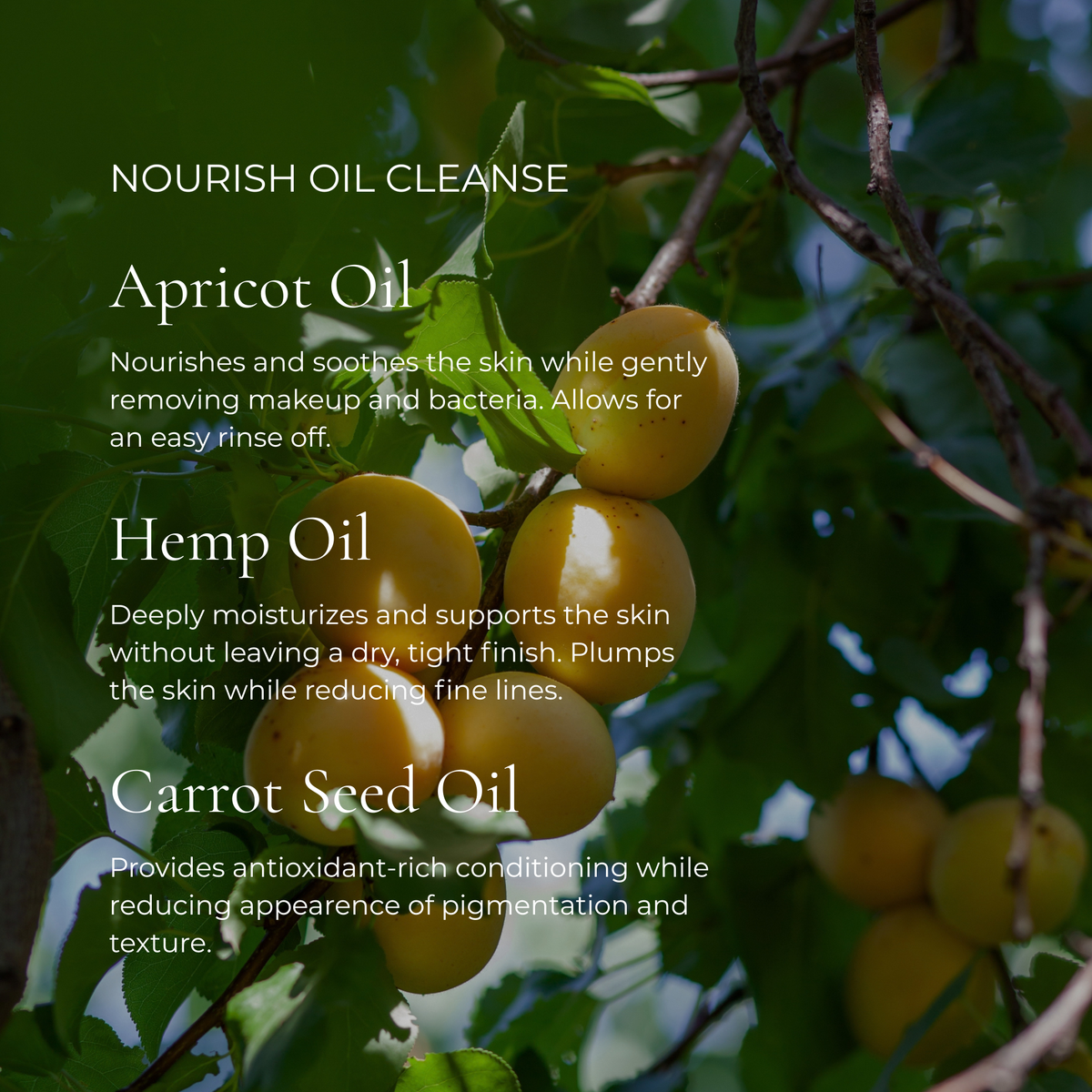 Nourish Cleansing Oil