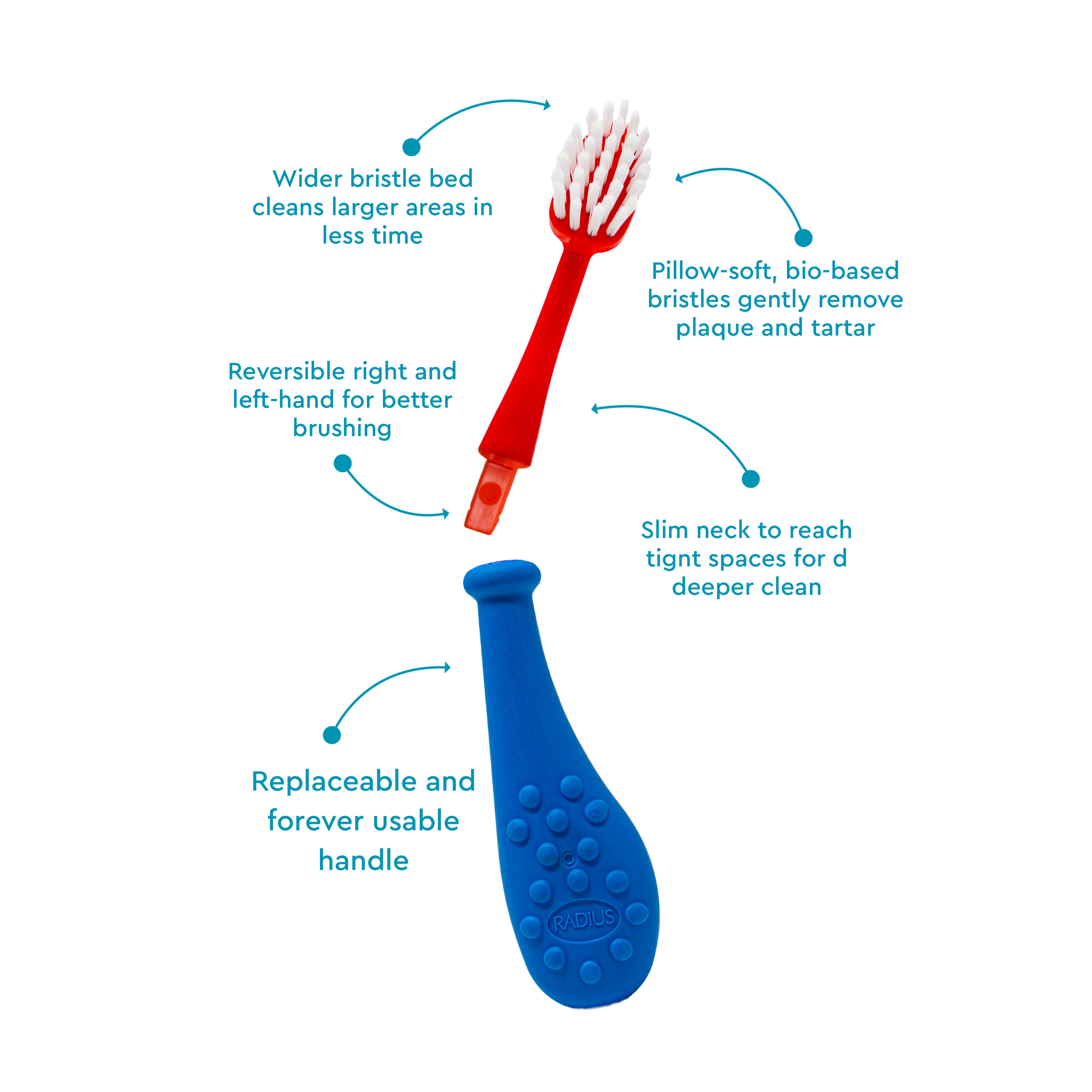 Big Kidz® Replaceable Head Forever Toothbrush® (6yrs+)