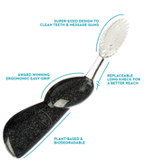Big Toothbrush with Replaceable Head