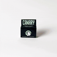 Charcoal Mint Dental Floss - Plastic-Free and Vegan