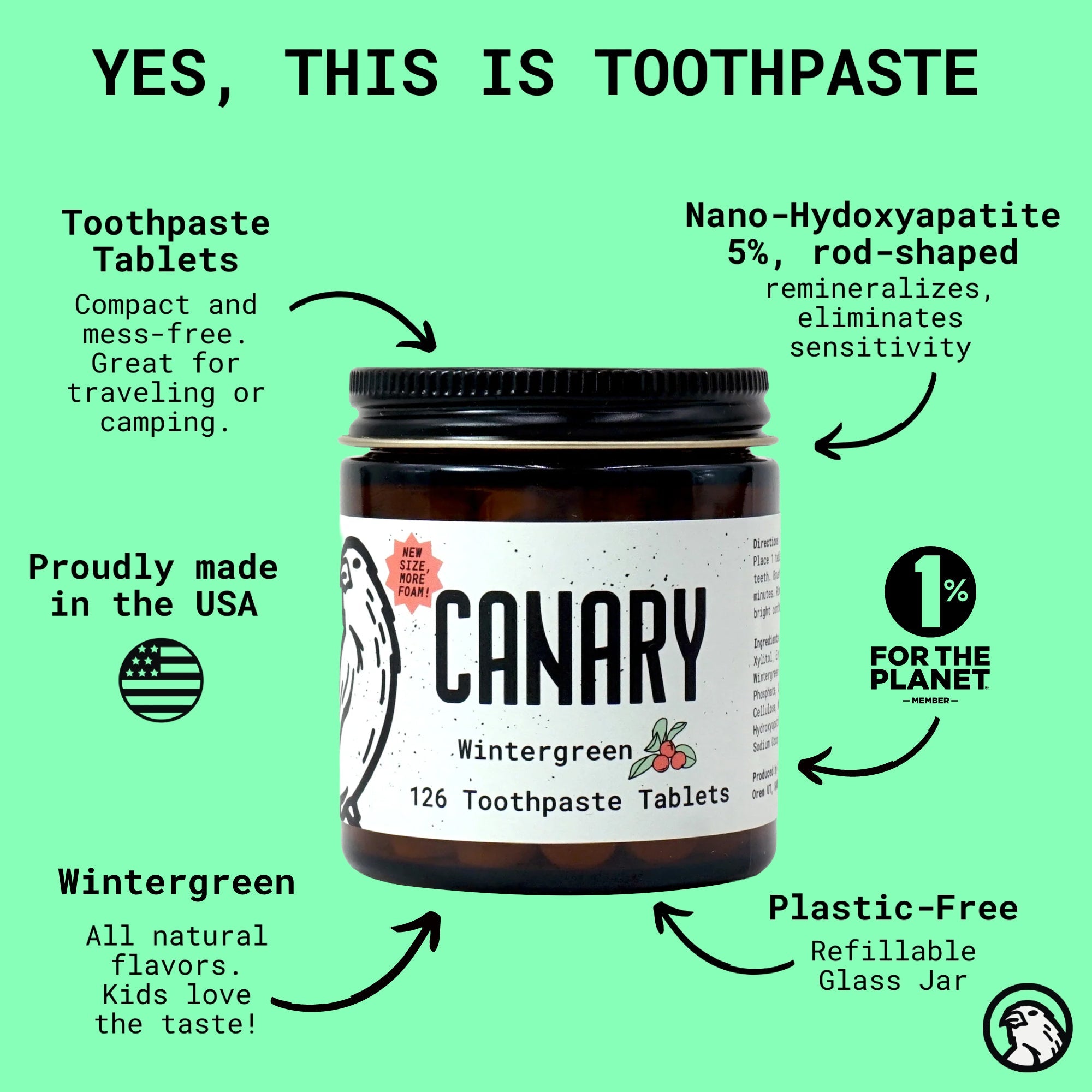 Wintergreen Toothpaste Tablets