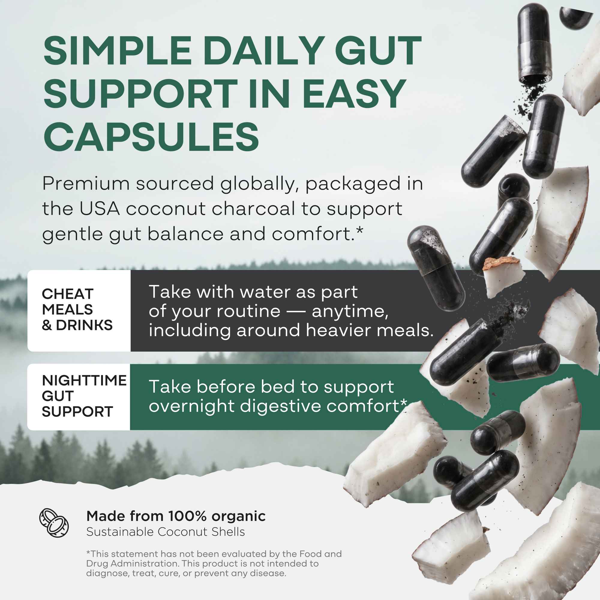 Activated Charcoal Capsules
