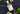 Bottle of ramp wine vinegar with a label on a dark surface with ramps.