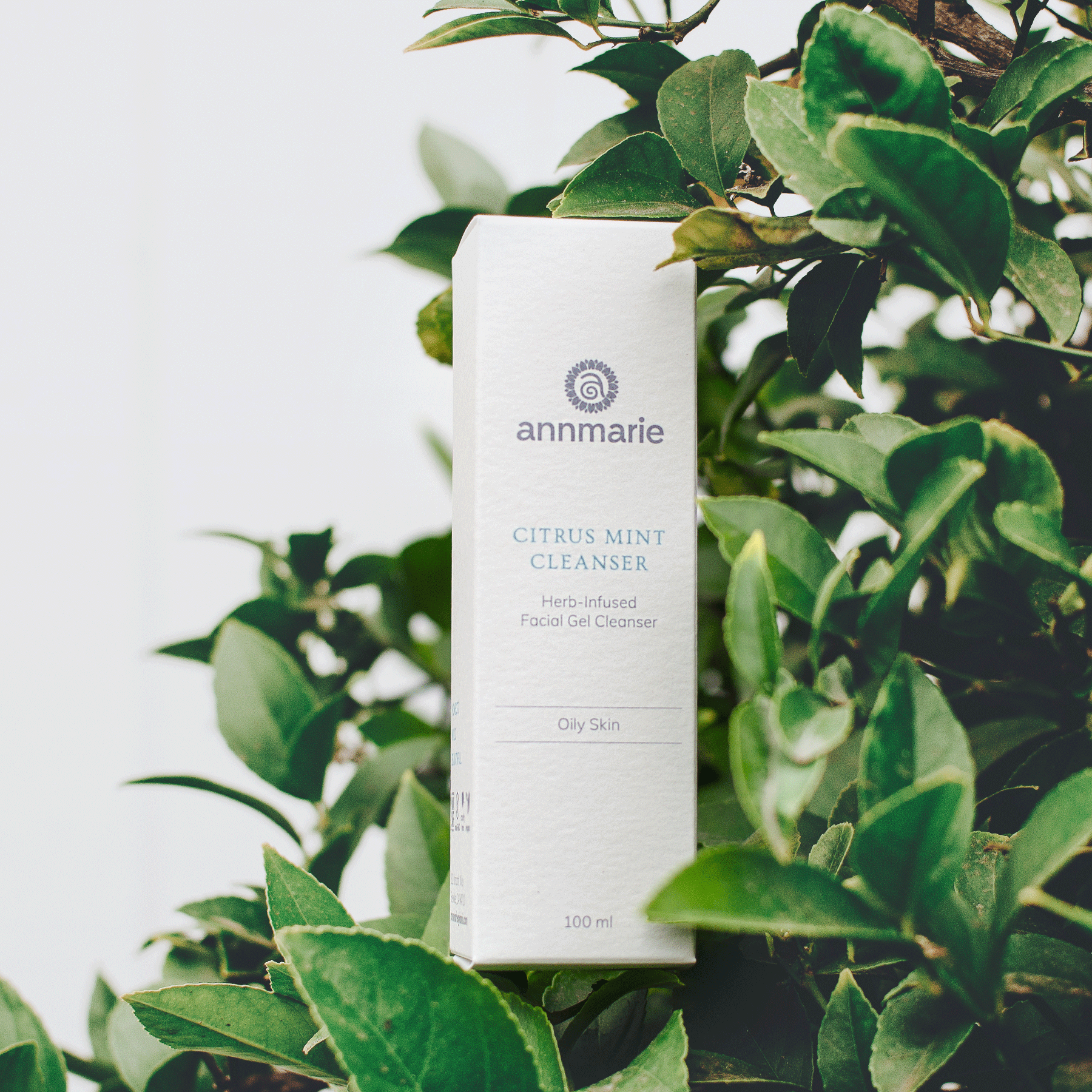 Annmarie Citrus Mint Cleanser for Oily Skin sits nestled within fresh green foliage.
