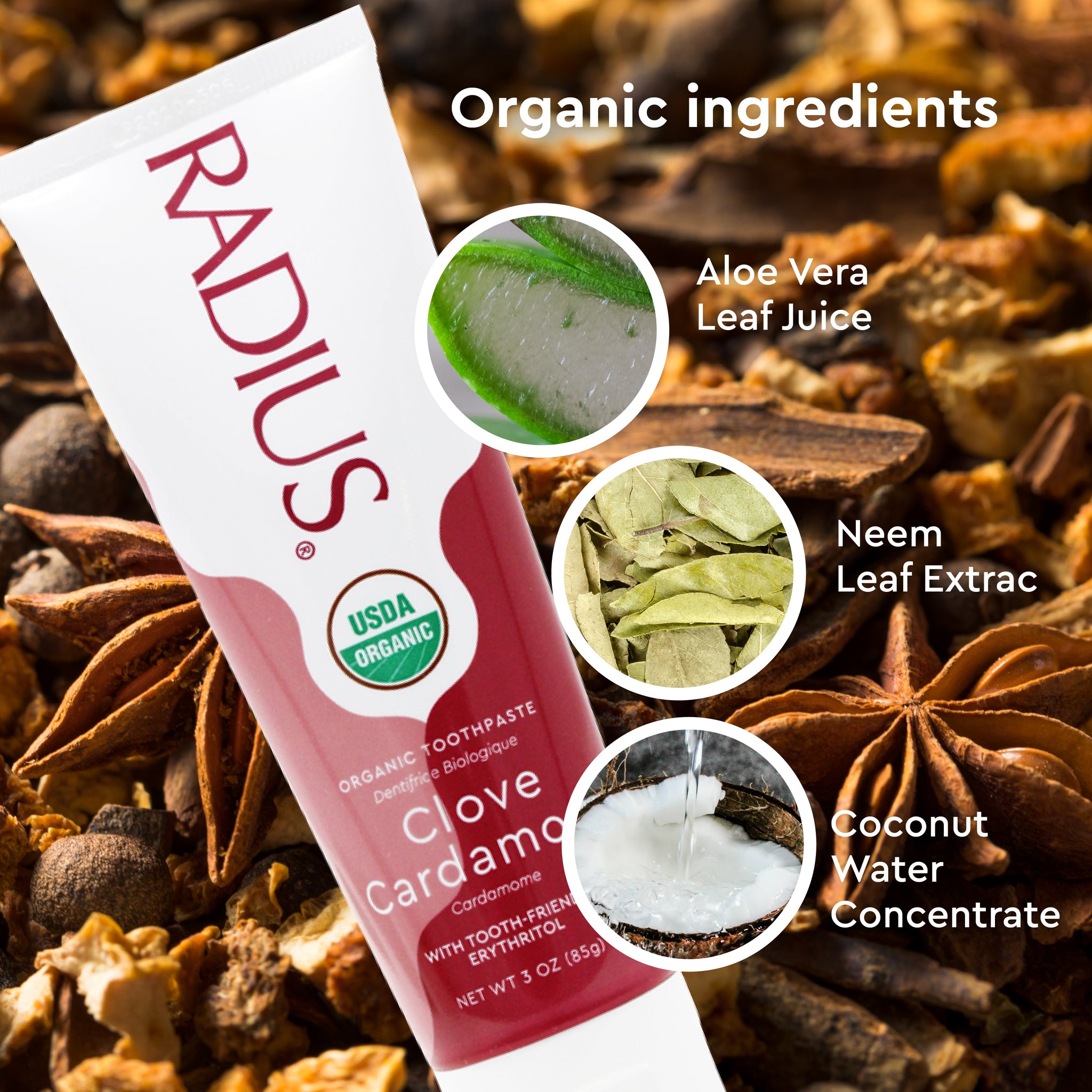 USDA Organic Clove Cardamom Toothpaste