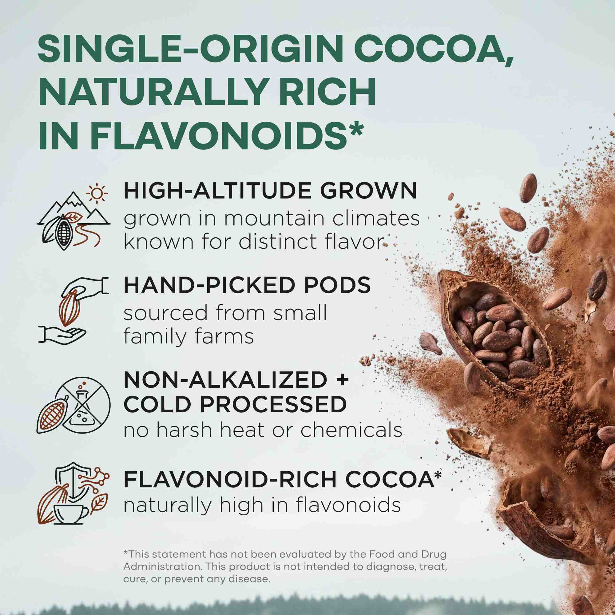 Cocoa Powder - Single-Origin Antioxidant