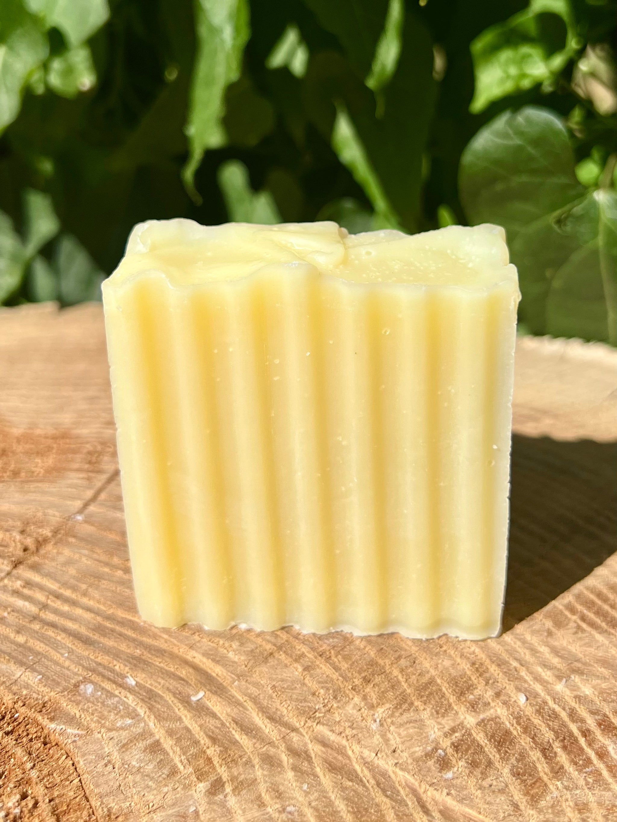 A square bar of yellow, ribbed homemade soap rests on a textured wooden surface in front of green foliage.
