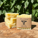 Rowe Naturals displays coconut olive tallow soap on a wooden slice against a leafy green backdrop.
