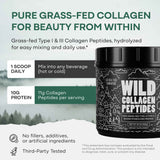 Grass-Fed Collagen Peptides – Skin, Hair & Joint Support