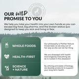 Grass-Fed Collagen Peptides – Skin, Hair & Joint Support