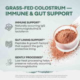 Colostrum – Gut Health & Immunity Boost