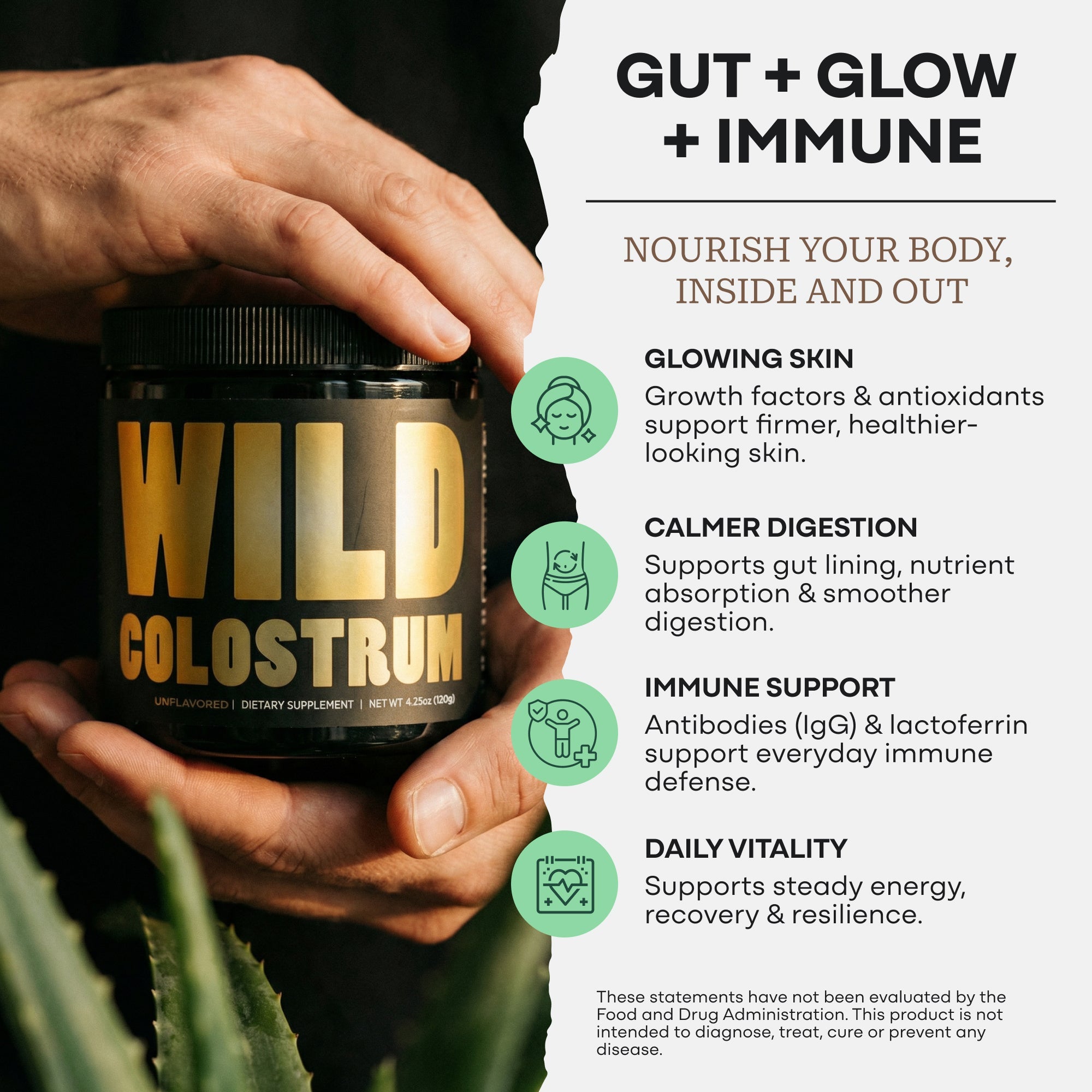 Colostrum – Gut Health & Immunity Boost
