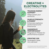 Wild Creatine + Electrolytes
