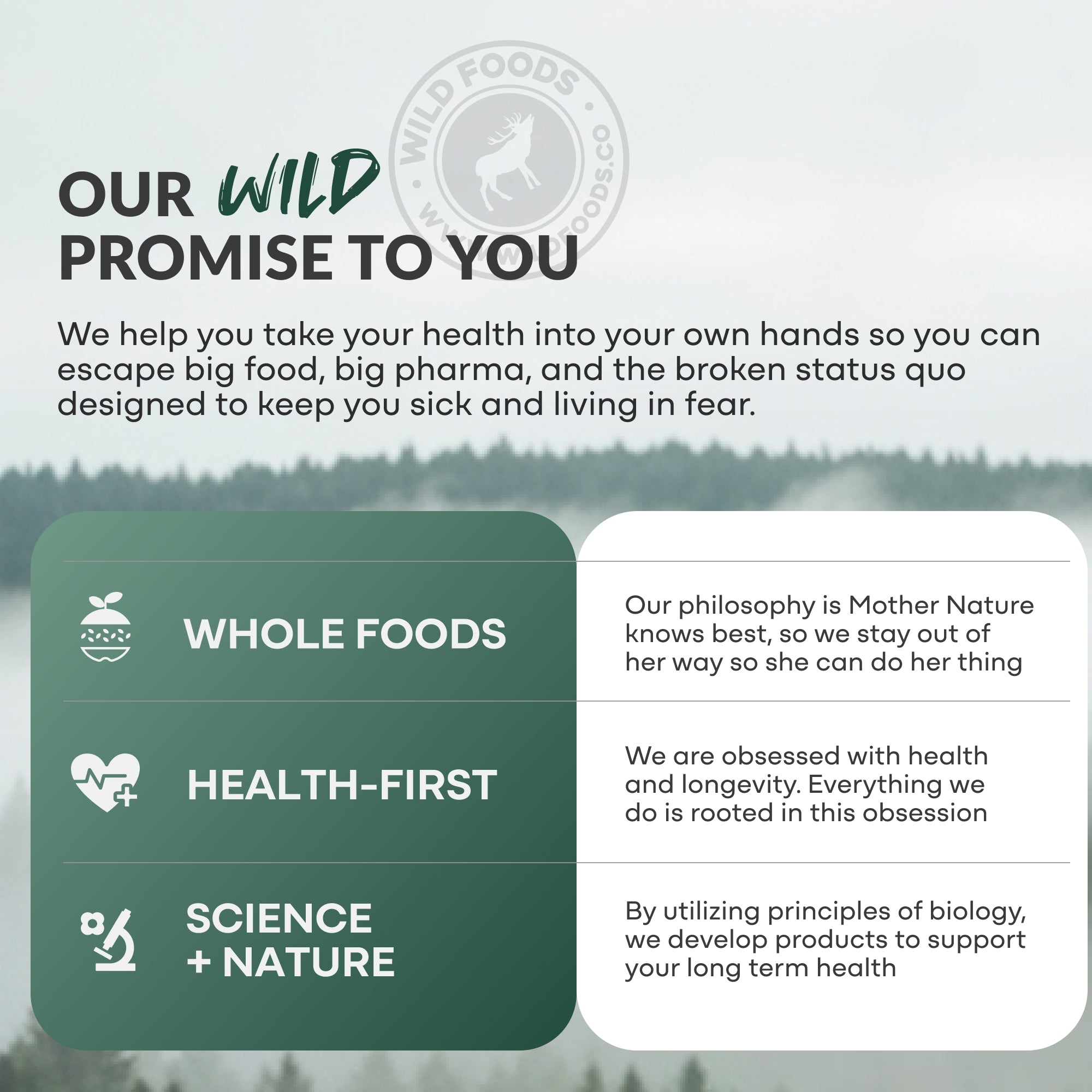 Wild Creatine + Electrolytes