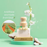 Green Llama advertises their eco-friendly soap and sisal brush, showcasing sisal field origins alongside coconut accents and white flowers.

