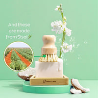 Green Llama advertises their eco-friendly soap and sisal brush, showcasing sisal field origins alongside coconut accents and white flowers.
