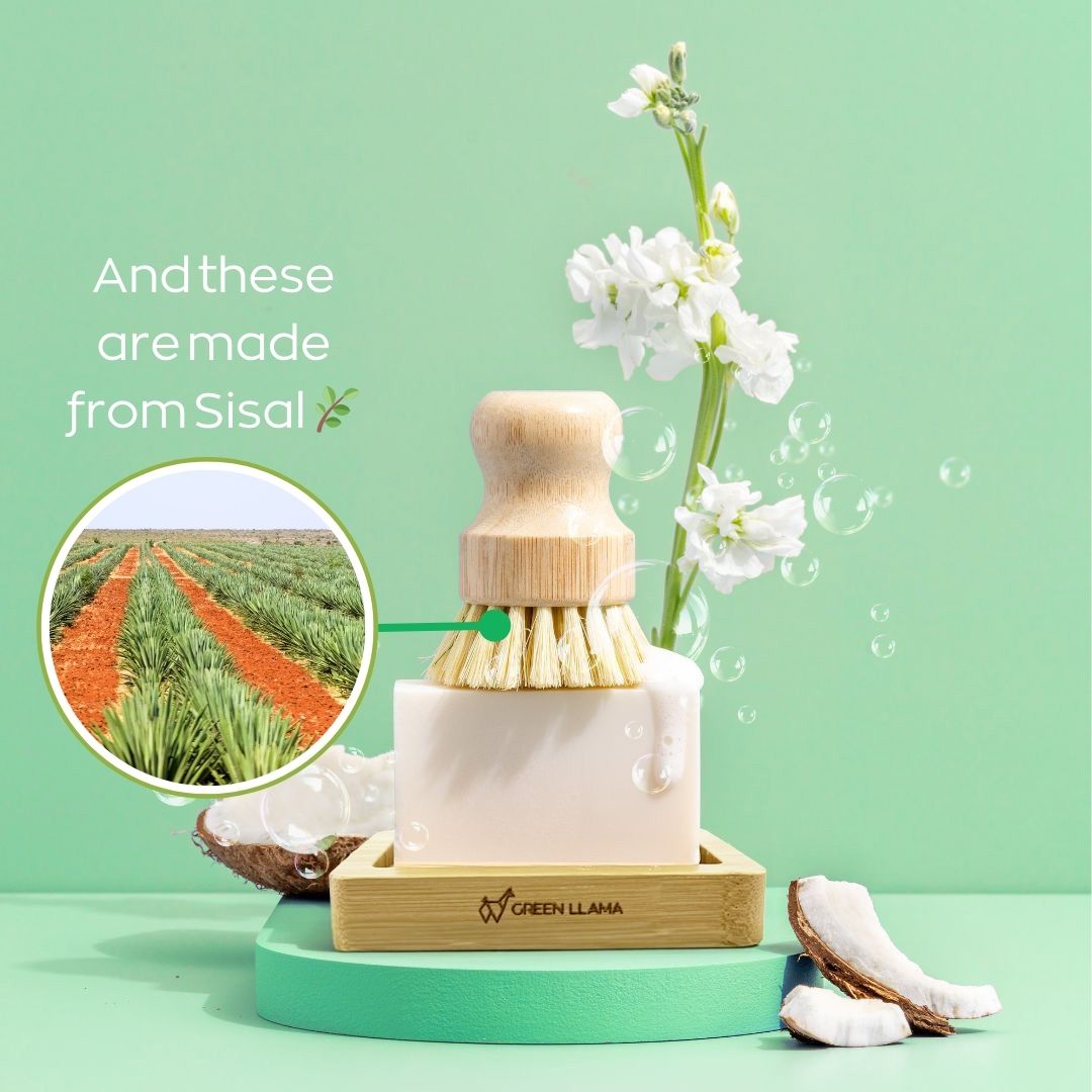 Green Llama advertises their eco-friendly soap and sisal brush, showcasing sisal field origins alongside coconut accents and white flowers.
