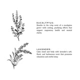 Laundry Powder - Eucalyptus + Lavender