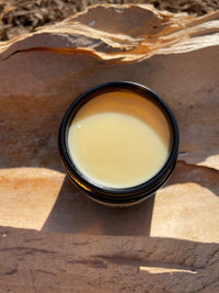 Sunlight illuminates a jar of natural balm sitting on textured bark, showcasing skincare.
