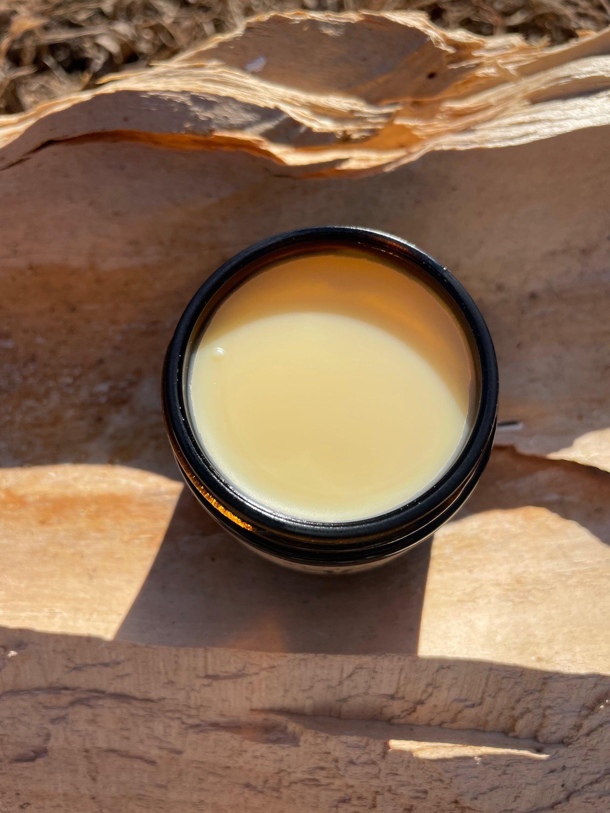 Sunlight illuminates a jar of natural balm sitting on textured bark, showcasing skincare.
