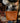 Field Bag