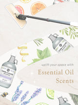 Floor Cleaner Concentrate | Lavender & Lemon