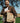 Forager Canvas Tote