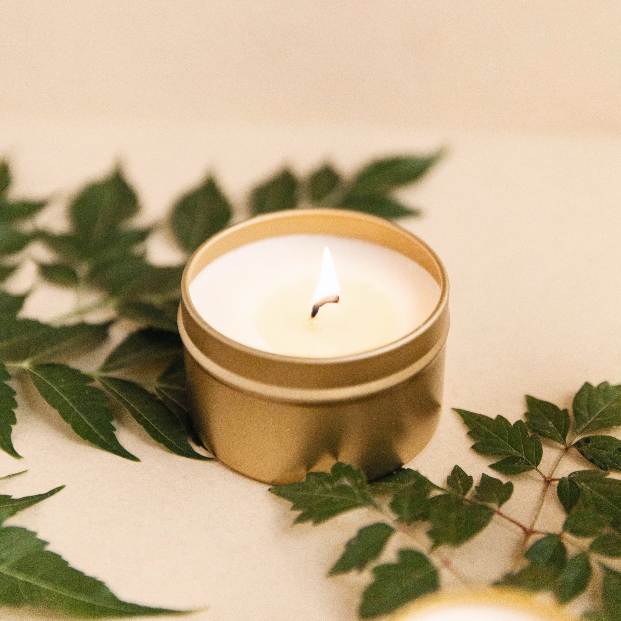 Forest Bathing Soy Wax Candle | Fir + Pine + Patchouli