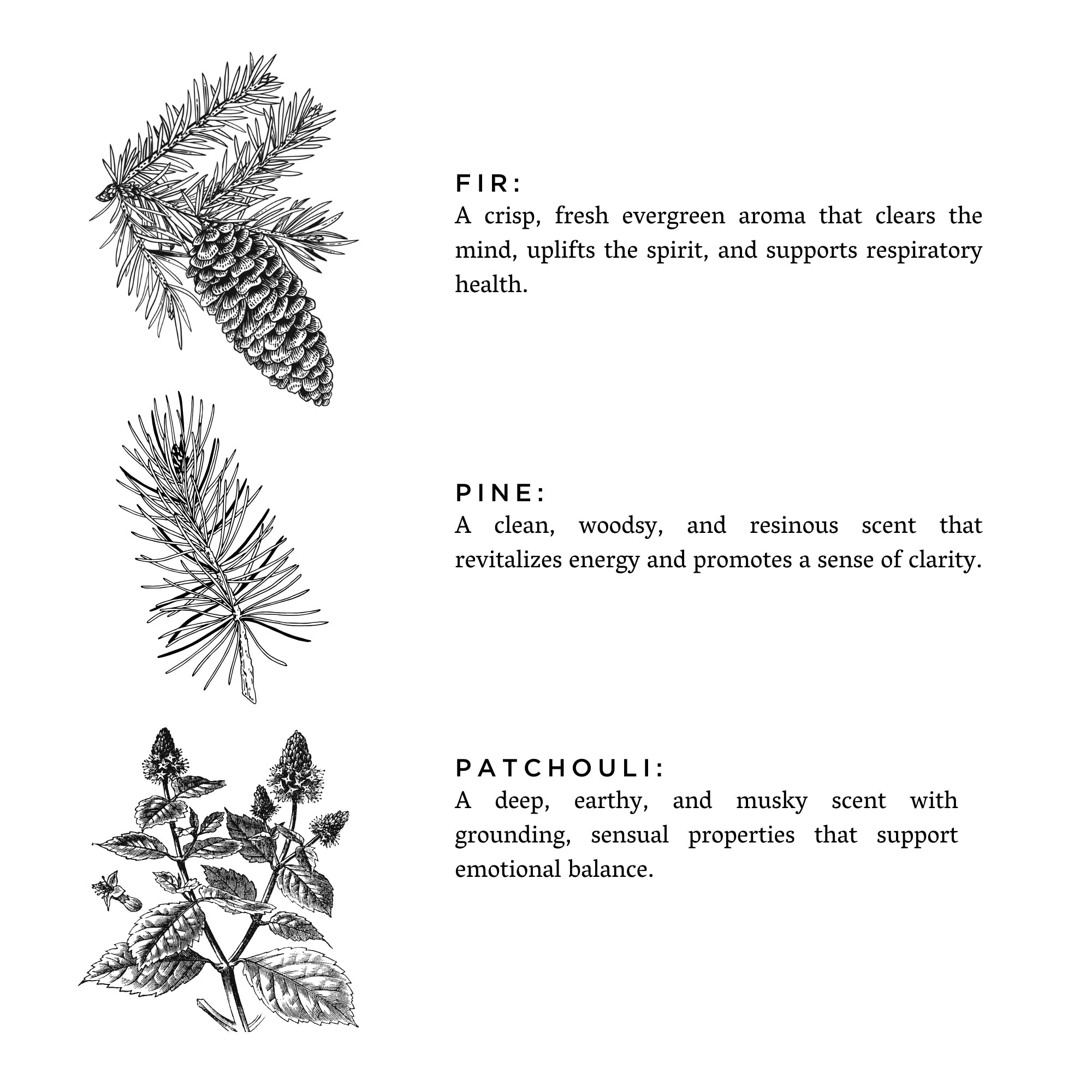 Forest Bathing - Signature Soy Wax Candle (Fir + Pine + Patchouli)