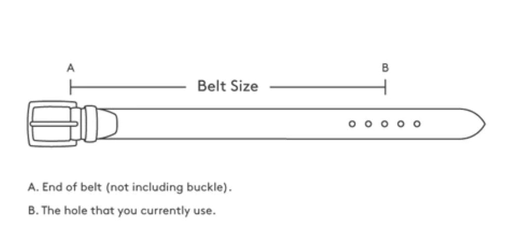The Bristol Belt