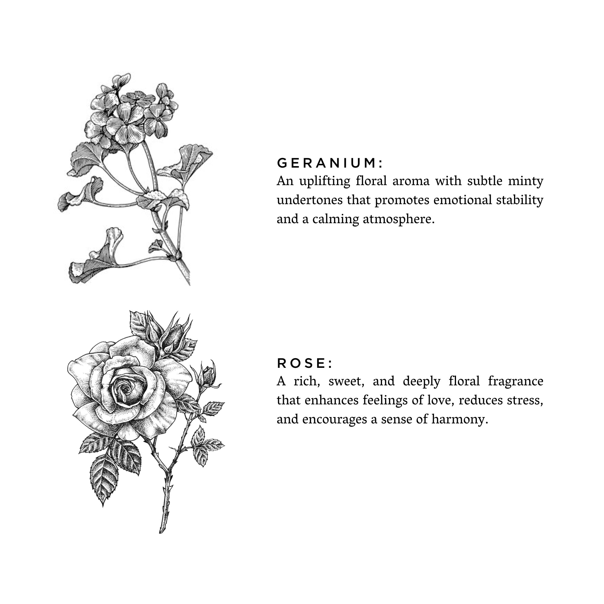 Geranium + Rose - Signature  Soy Wax Candle