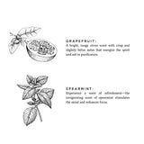 Grapefruit + Spearmint - Signature Soy Wax Candle