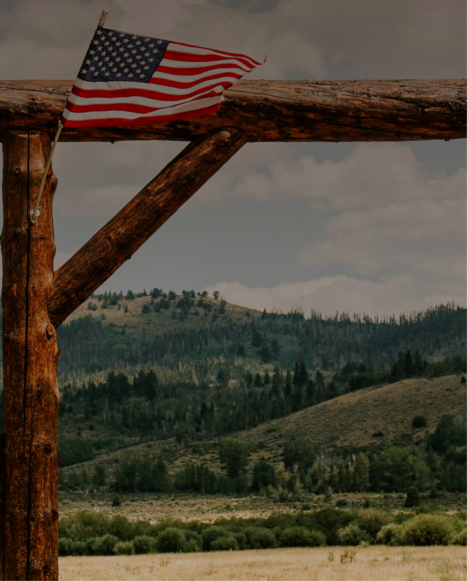 American flag on a wooden post with a scenic background of hills and trees