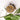 Herbal Facial Steam