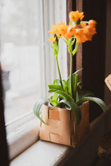 Leather Tabletop Planter