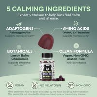 Wild Kids Calm Gummies – Relaxation & Sleep Support